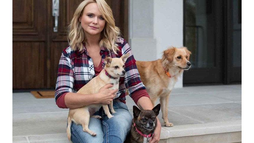 Miranda Lambert launches AR dog-adoption on Instagram