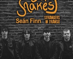 Seán Finn supports City Snakes at The Beehive next Friday 10th March 